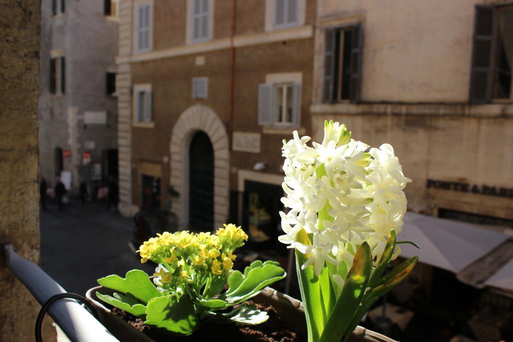 Hub Navona 3* Rom